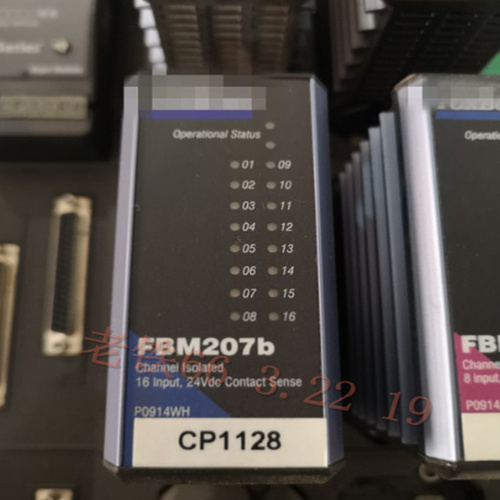 FBM207b